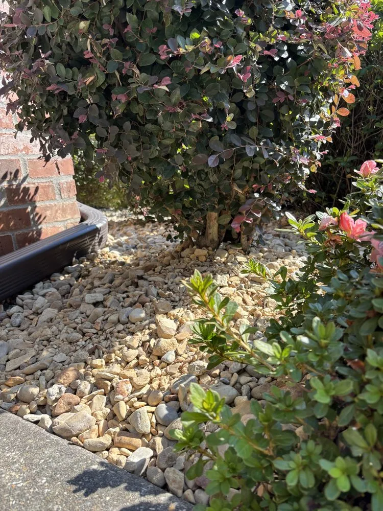 Trusted landscape design for beautiful yards across Hammond, LA - Miller’s Landscaping