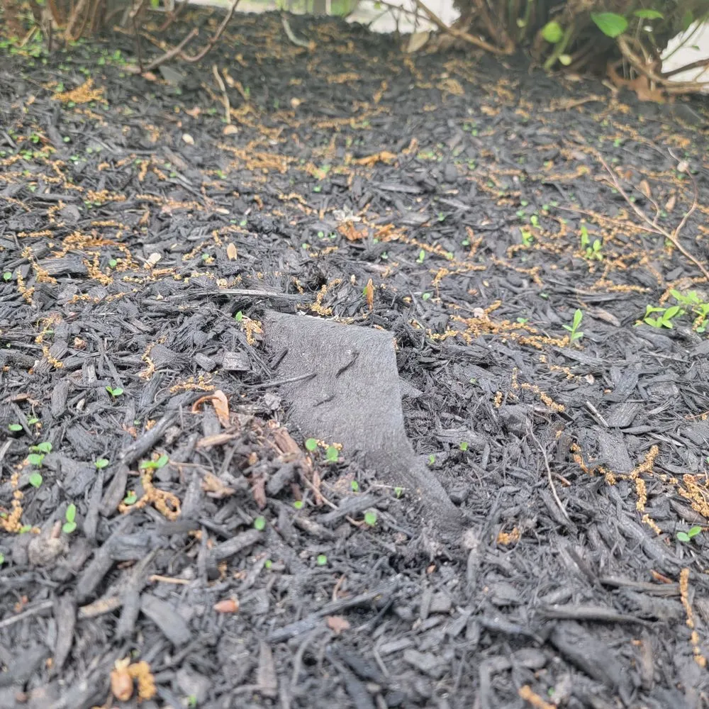 Professional lawn mowing service for outdoor upgrades in Sewell, NJ by Miller's Landscaping