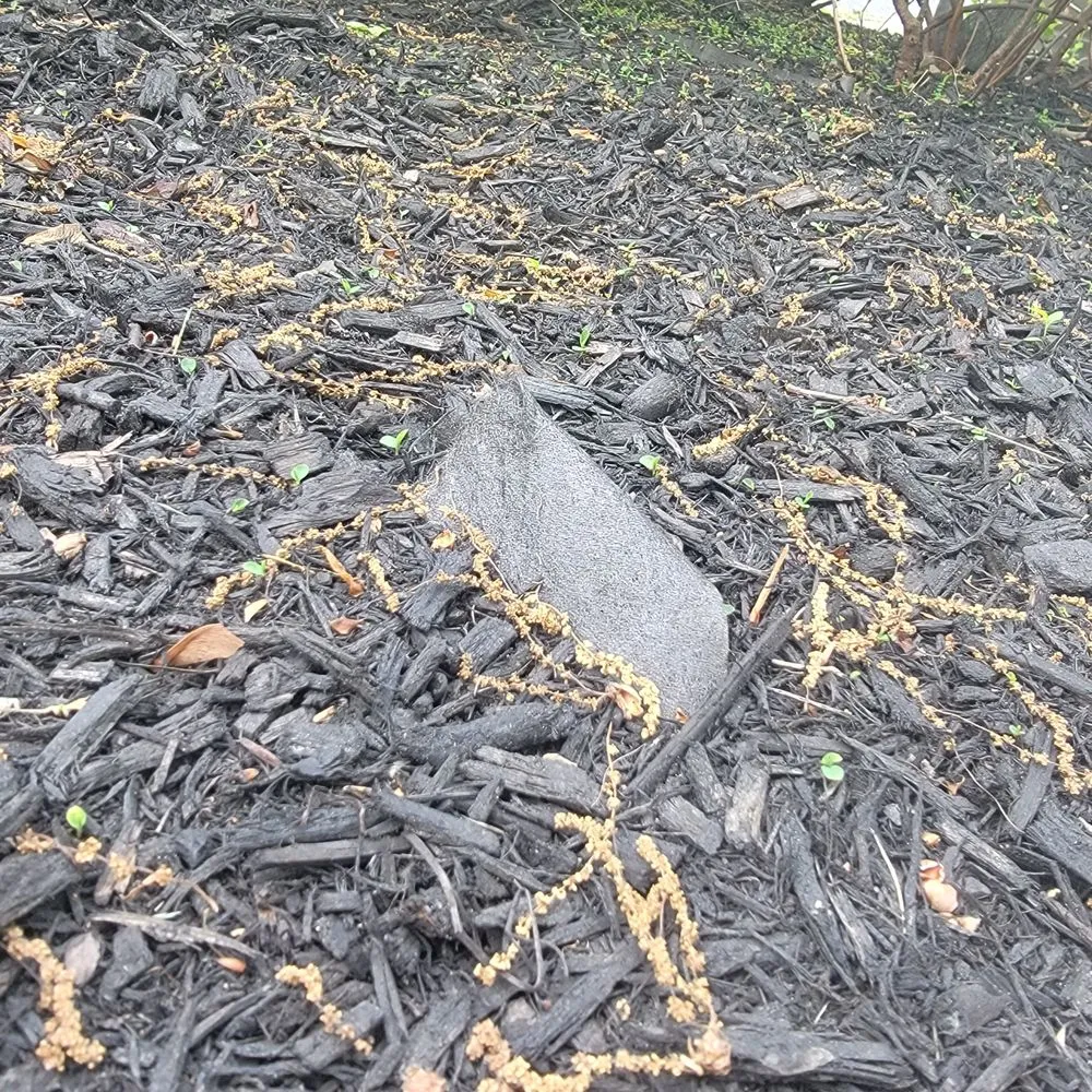 Reliable yard cleanup service in Sewell, NJ - Miller's Landscaping