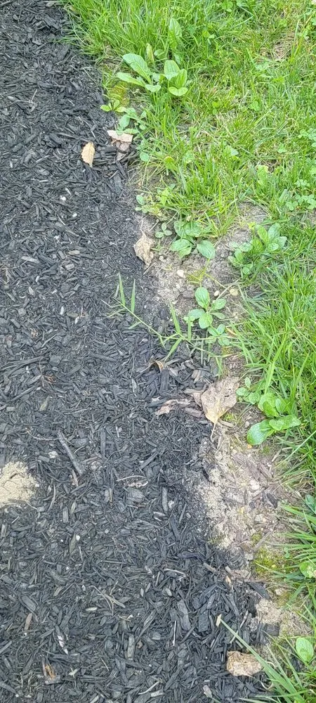 Professional outdoor landscaping in Sewell, NJ - Miller's Landscaping