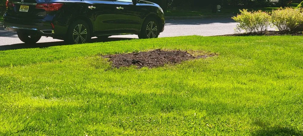 Trusted landscape installation in Sewell, NJ by Miller's Landscaping