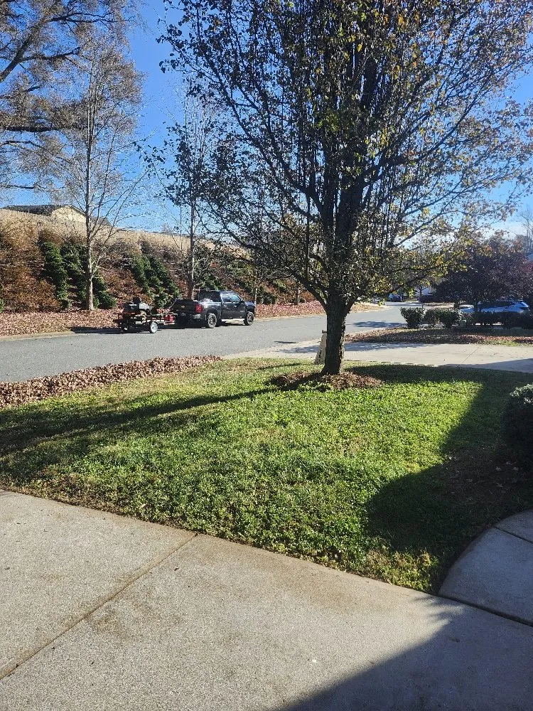 Custom lawn care service in Winston-Salem, NC by Millers landscaping