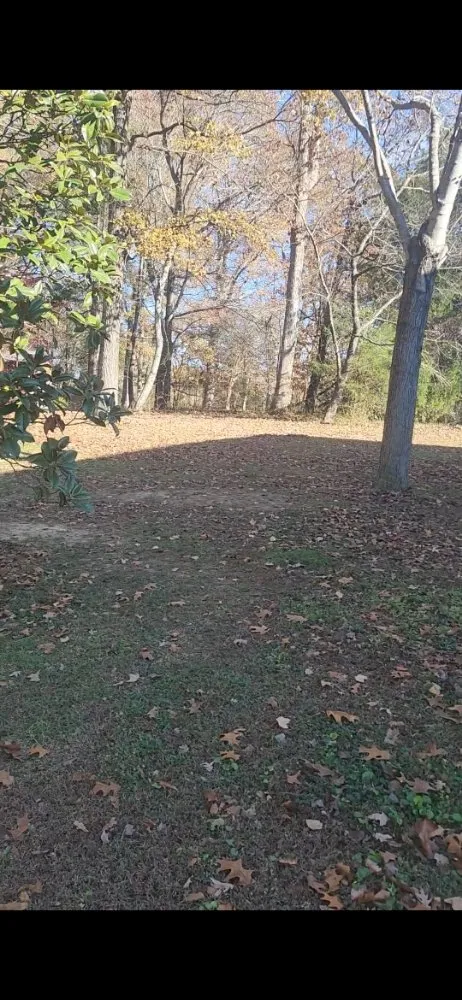 Affordable landscaping services for homes across Winston-Salem, NC - Millers landscaping