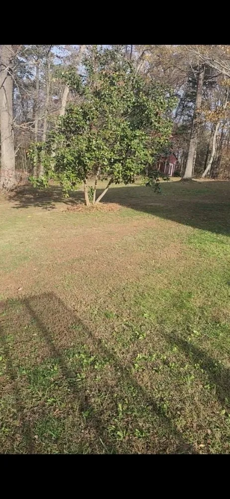 Reliable landscape installation in Winston-Salem, NC - Millers landscaping