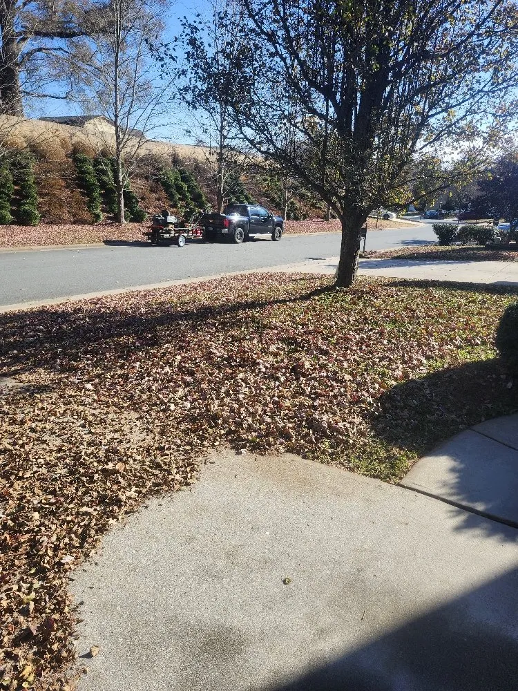 Local outdoor landscaping experts serving Winston-Salem, NC - Millers landscaping