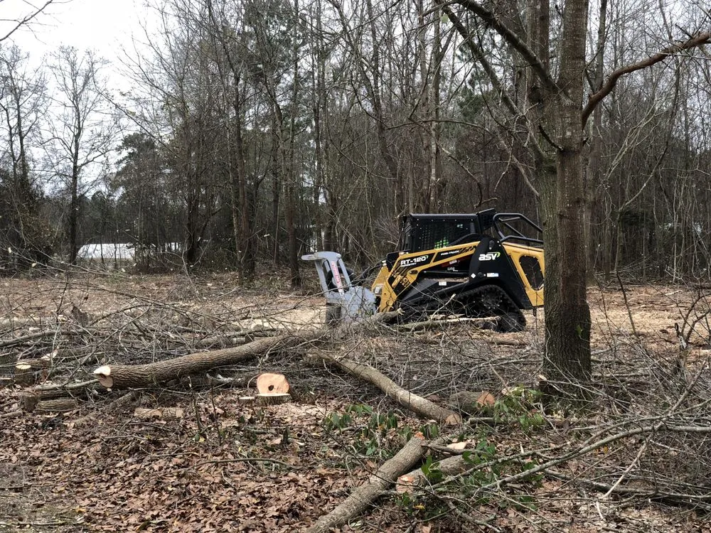 Expert yard maintenance experts serving Erwin, NC - Miller's Lawn & Landscaping