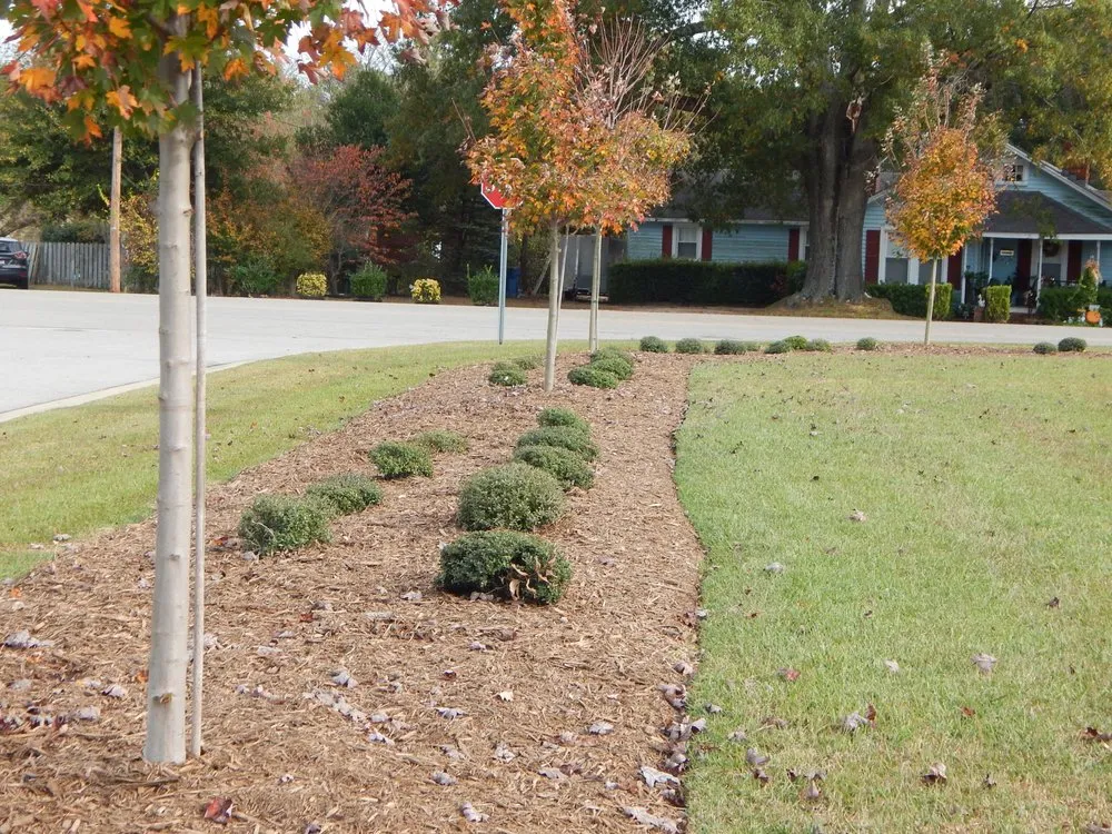 Expert landscaping services experts serving Erwin, NC - Miller's Lawn & Landscaping