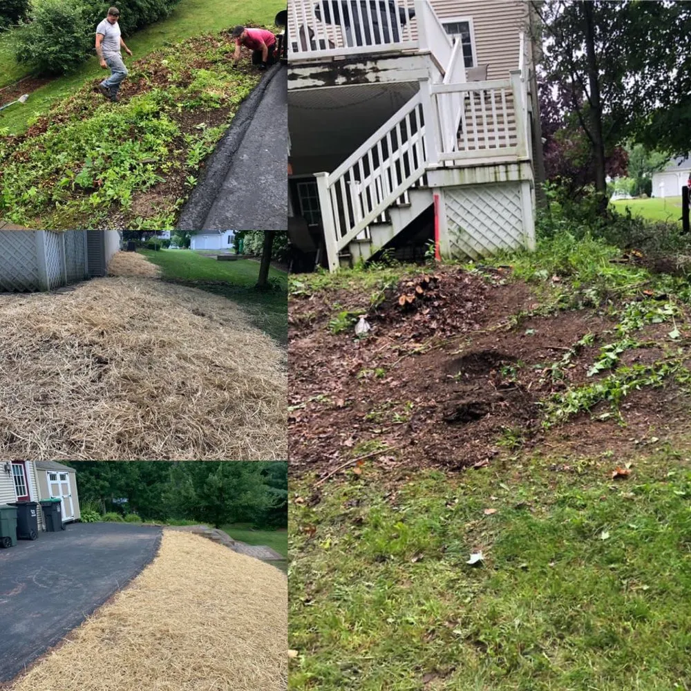 Professional yard cleanup service near you across Weatherly, PA - Miller’s Lawn & Landscaping Solutions
