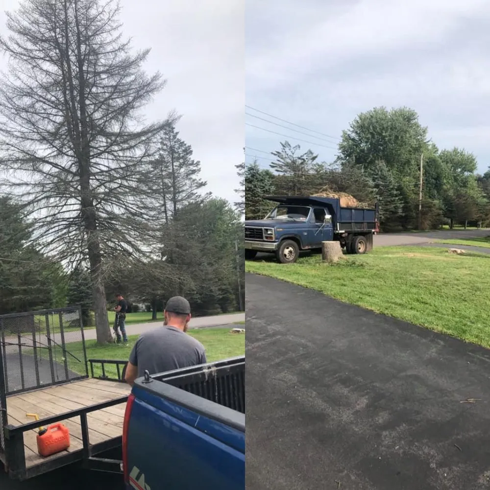 Affordable lawn mowing service for homes in Weatherly, PA by Miller’s Lawn & Landscaping Solutions