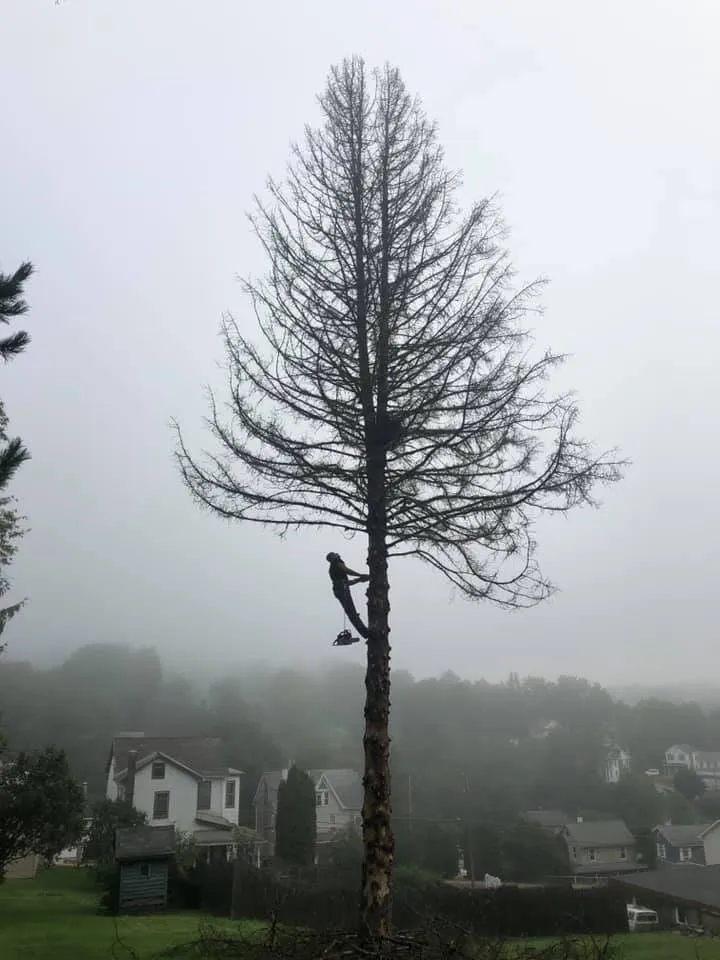 Expert garden landscaping near you in Weatherly, PA by Miller’s Lawn & Landscaping Solutions