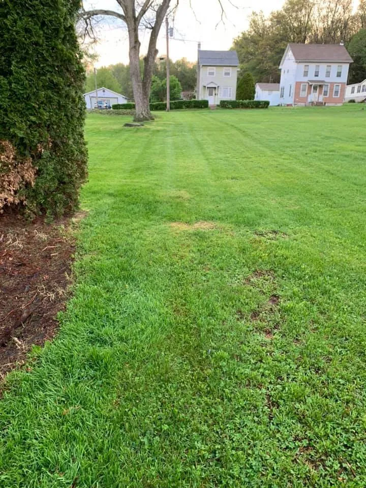 Professional garden landscaping experts serving Weatherly, PA - Miller’s Lawn & Landscaping Solutions