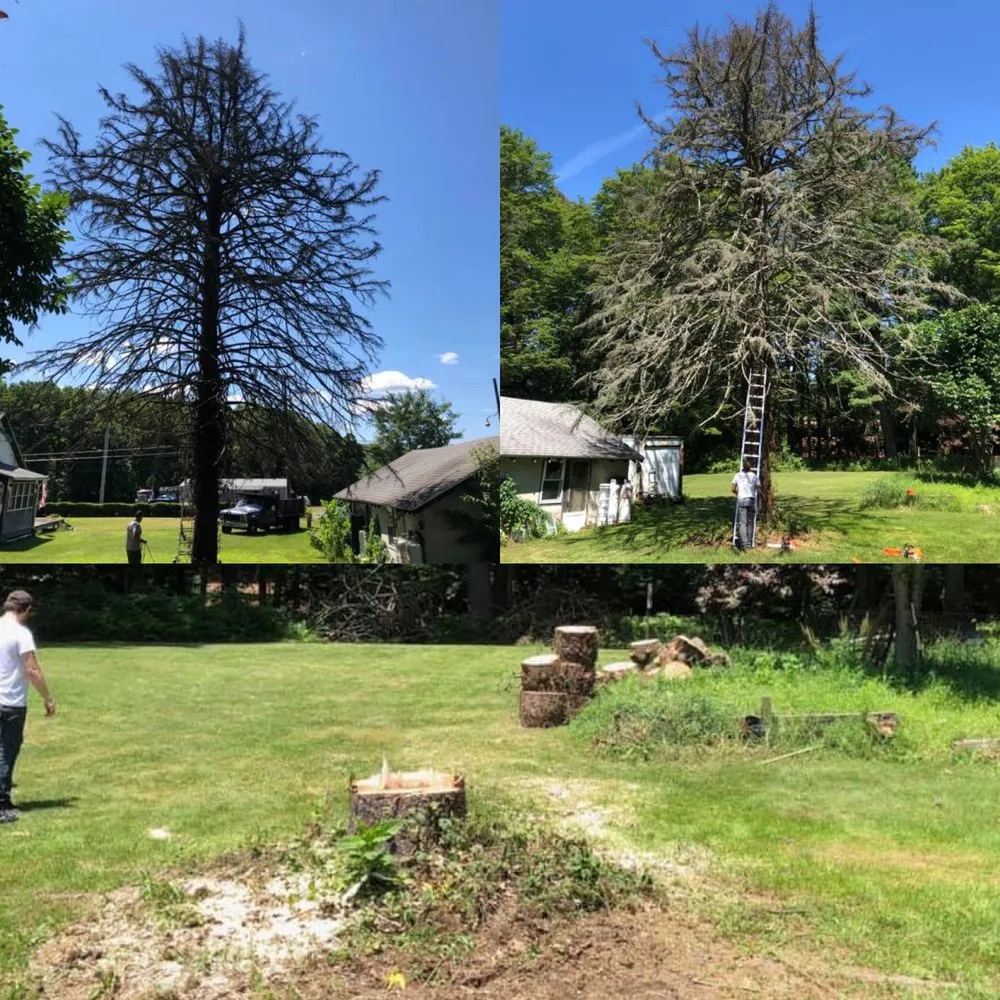 Local lawn care service for outdoor upgrades across Weatherly, PA - Miller’s Lawn & Landscaping Solutions