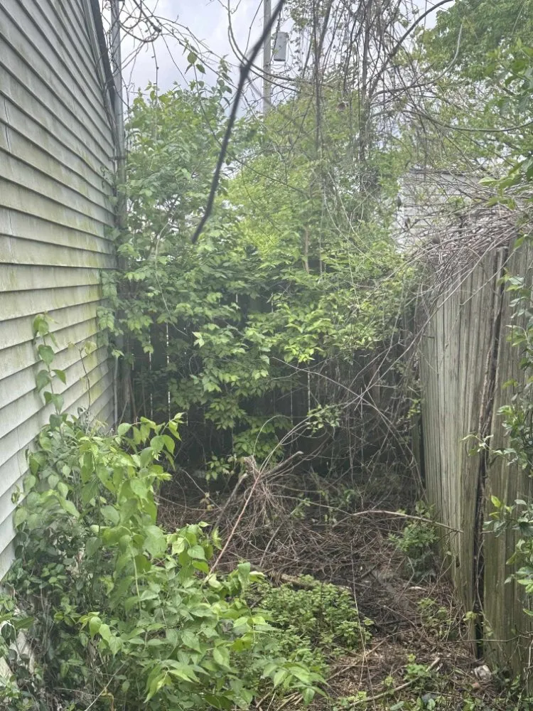 Trusted outdoor landscaping experts serving Columbus, OH - Millers Lawn & Multi Services