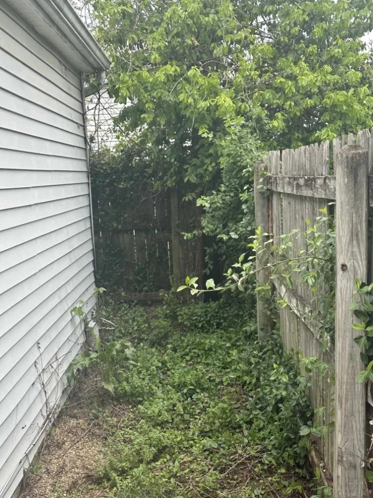 Custom lawn mowing service for year-round maintenance in Columbus, OH by Millers Lawn & Multi Services