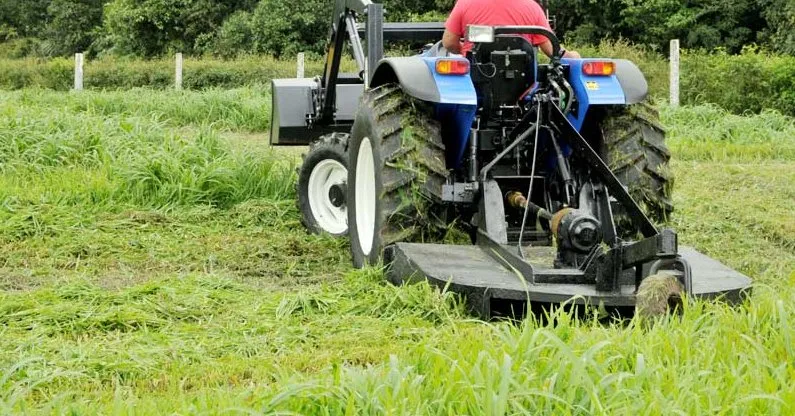 Trusted yard cleanup service in Wetumpka, AL - Miller's Lawn and Landscape