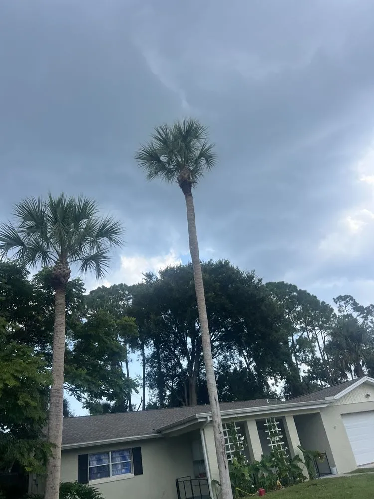 Top-rated outdoor landscaping in Daytona Beach, FL - Miller’s Lawn and Tree Service