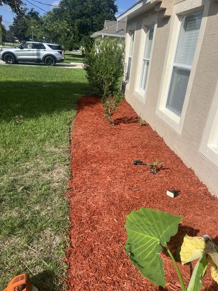 Professional yard maintenance for residential properties across Daytona Beach, FL - Miller’s Lawn and Tree Service