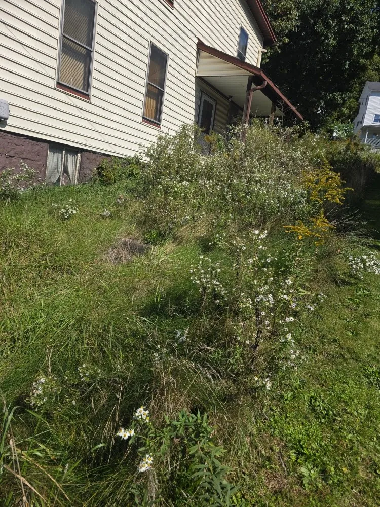 Local landscape installation in Wilmore, PA by Millers Lawn Care