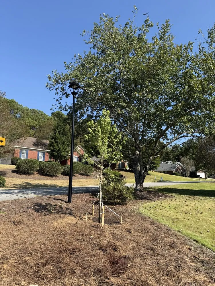 Custom yard maintenance for year-round maintenance across Cataula, GA - Miller’s Lawn