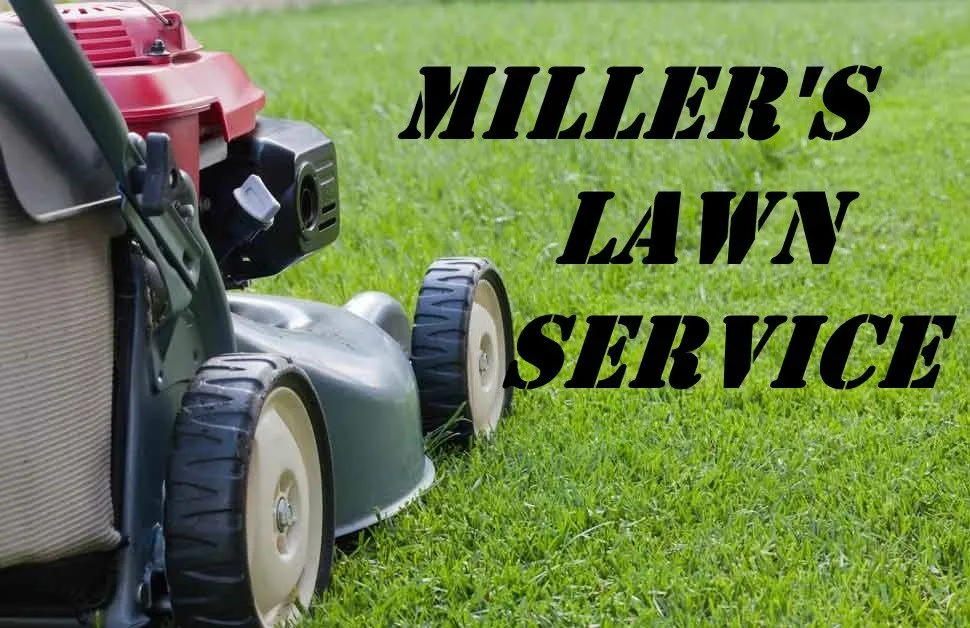 Reliable garden landscaping for outdoor upgrades in Brownsville, TX by Miller's Lawn Service