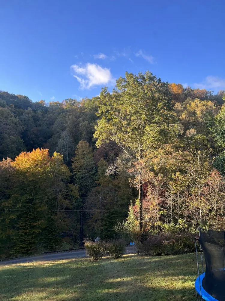 Expert lawn mowing service in Danville, WV by Millers Lawncare and Excavating