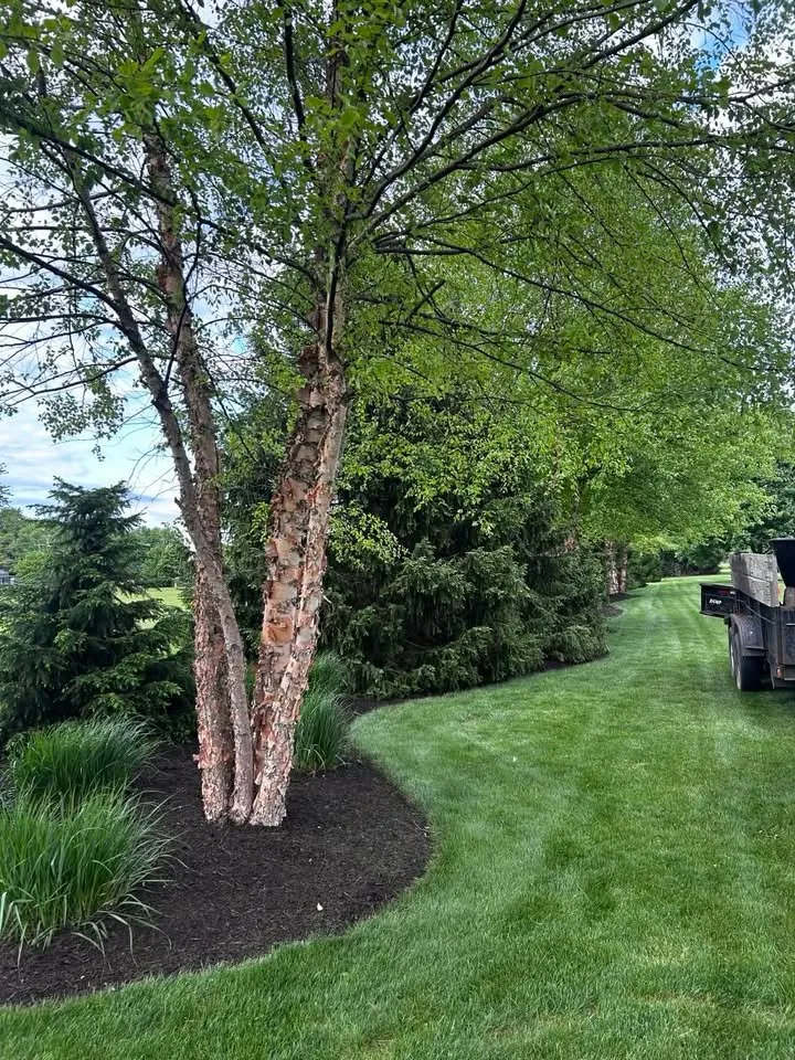Local landscape design with custom design across Collins, OH - Millers Lawncare And Services