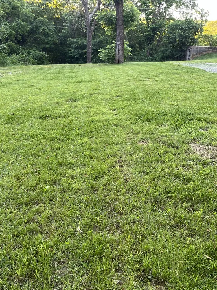 Expert yard maintenance experts serving Potosi, MO - Miller’s LawnCare