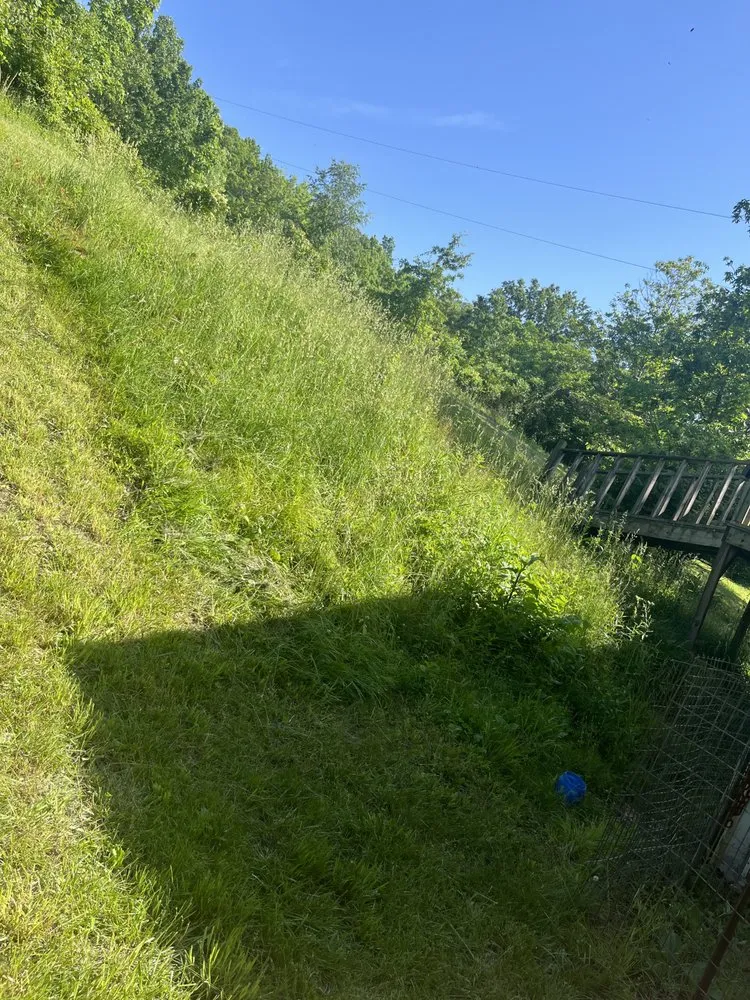 Professional lawn mowing service for residential properties across Potosi, MO - Miller’s LawnCare