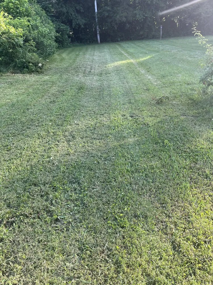 Expert landscape design in Potosi, MO by Miller’s LawnCare