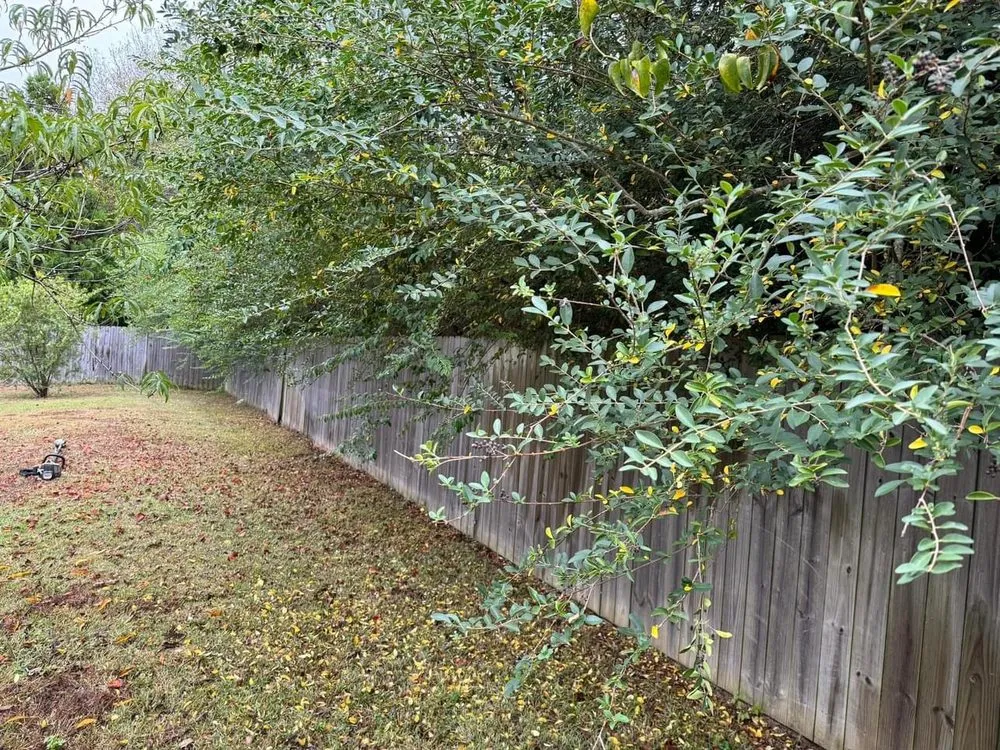 Custom lawn mowing service in Molino, FL - Miller’s Mowing