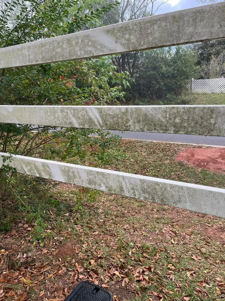 Reliable yard maintenance for year-round maintenance in Molino, FL by Miller’s Mowing