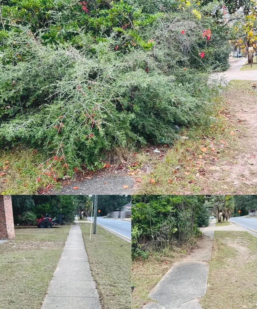 Affordable lawn mowing service in Molino, FL by Miller’s Mowing