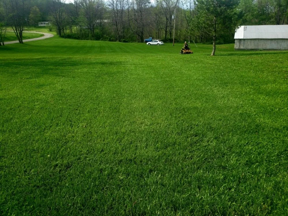 Expert yard maintenance in Marietta, OH - Millers Mowtivated Lawn Care