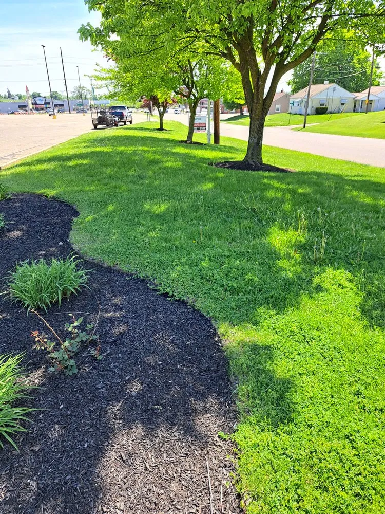 Custom yard cleanup service in Alliance, OH by Miller's Plowing
