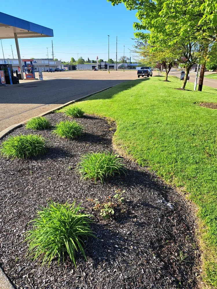 Expert yard cleanup service in Alliance, OH - Miller's Plowing