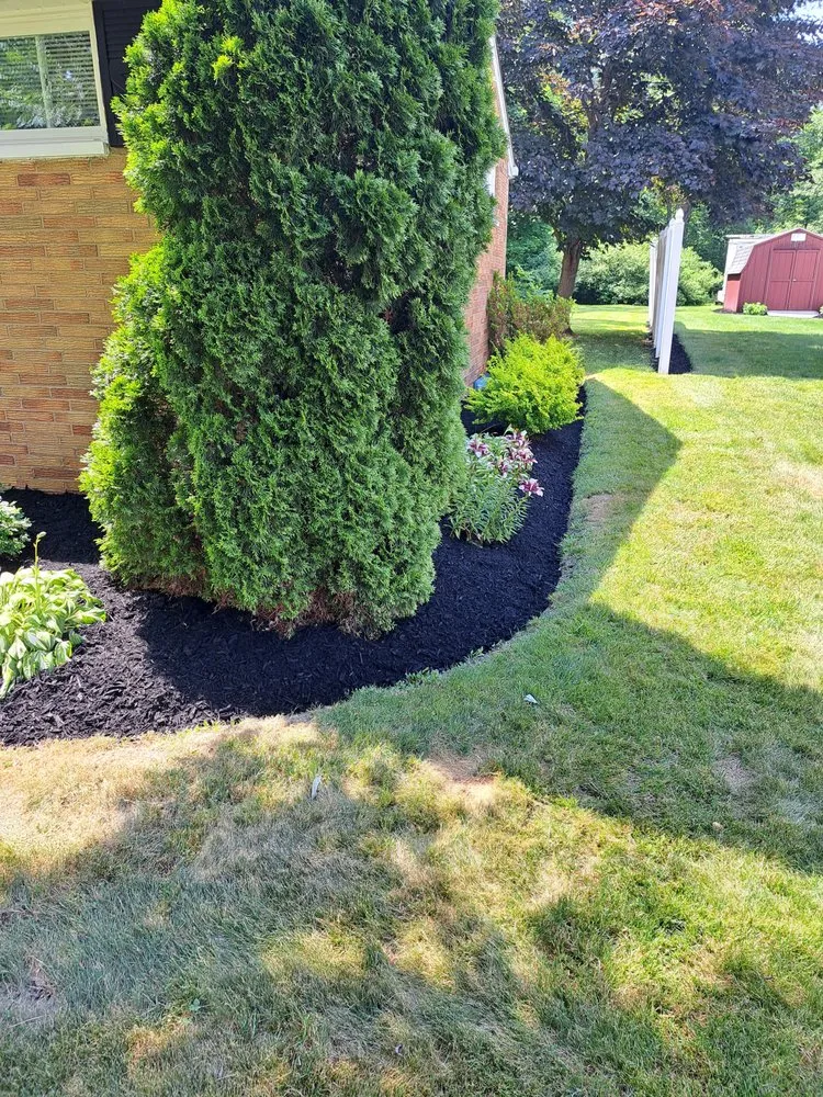 Local lawn care service near you across Alliance, OH - Miller's Plowing
