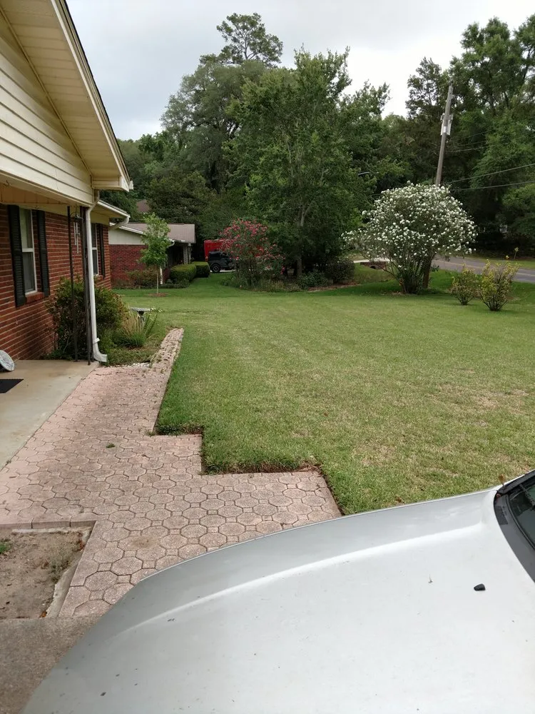 Expert yard cleanup service experts serving Tallahassee, FL - Miller's Precision Lawn Care