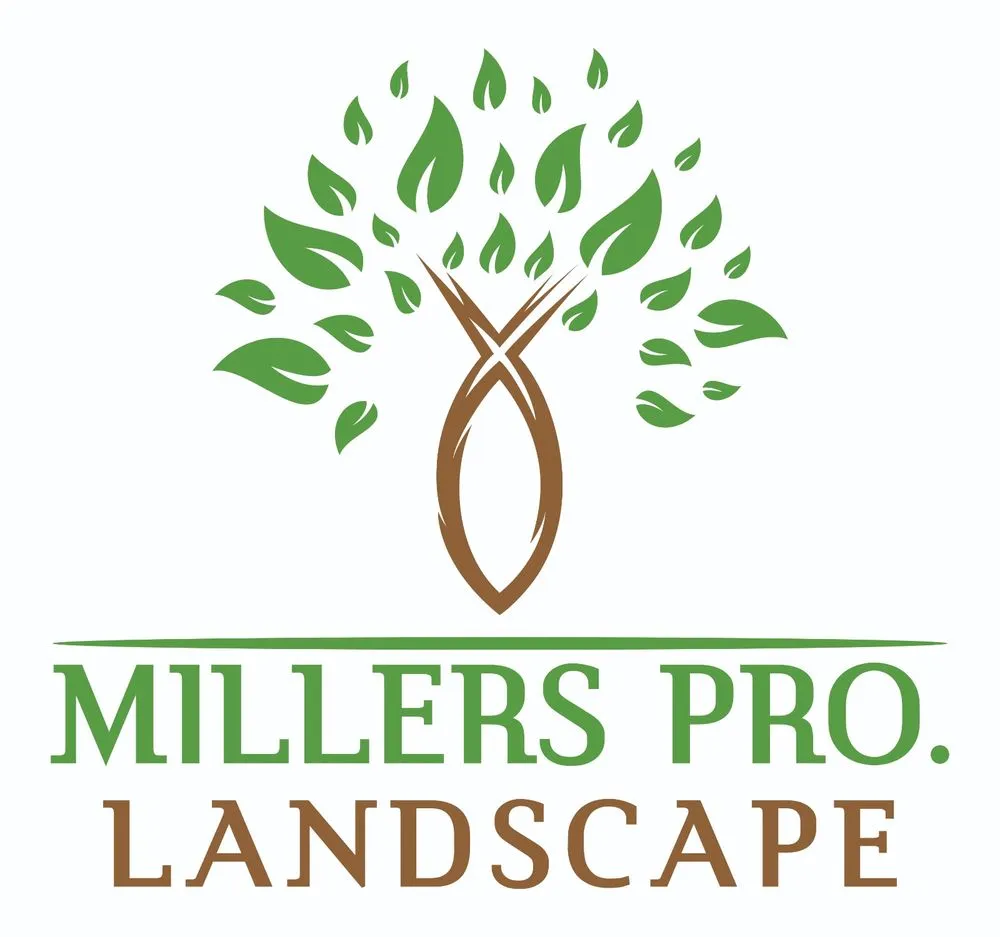 Expert yard maintenance experts serving Oak Bluffs, MA - Millers Pro Landscape