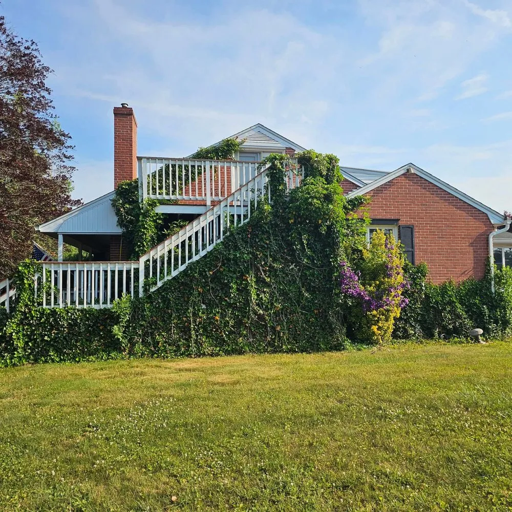 Top-rated yard cleanup service for outdoor upgrades across North East, MD - Miller's Property Management