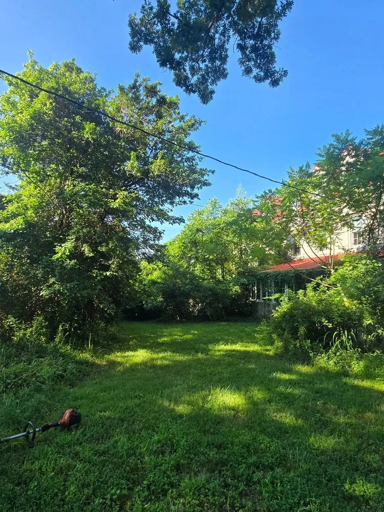 Professional yard cleanup service in North East, MD by Miller's Property Management