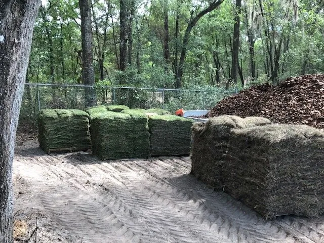 Trusted landscape installation for beautiful yards in Apopka, FL by Millers Sod Sales