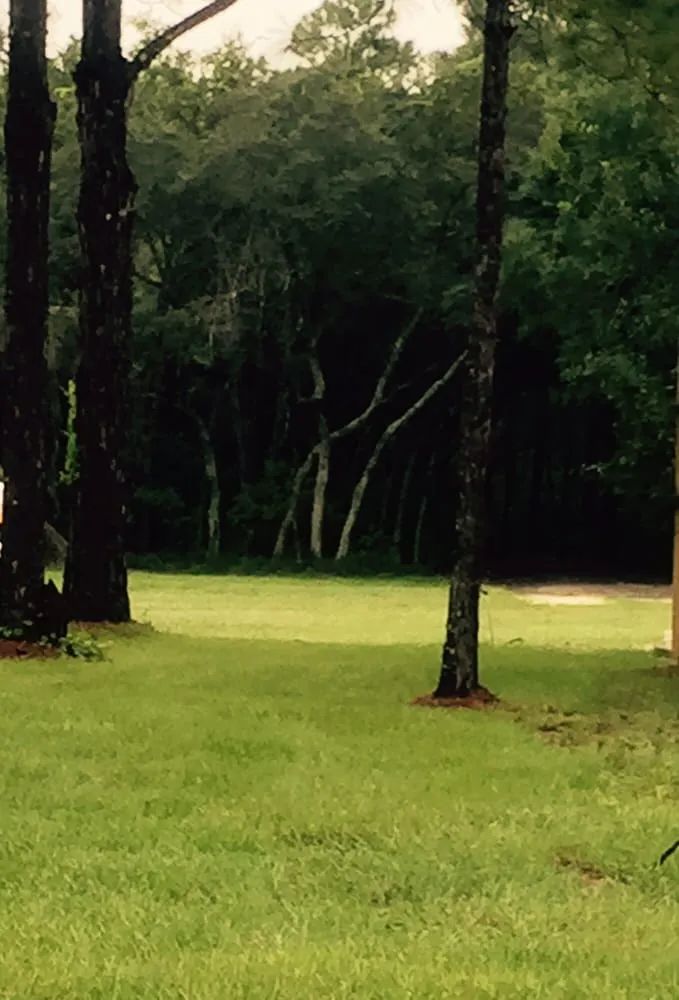 Affordable yard cleanup service for beautiful yards in Apopka, FL by Millers Sod Sales