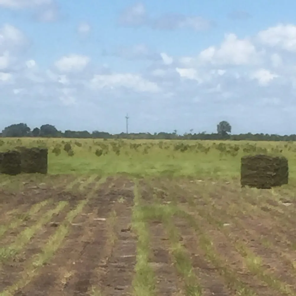 Local lawn mowing service for residential properties in Apopka, FL by Millers Sod Sales