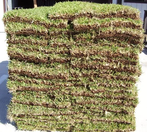Professional garden landscaping experts serving Apopka, FL - Millers Sod Sales