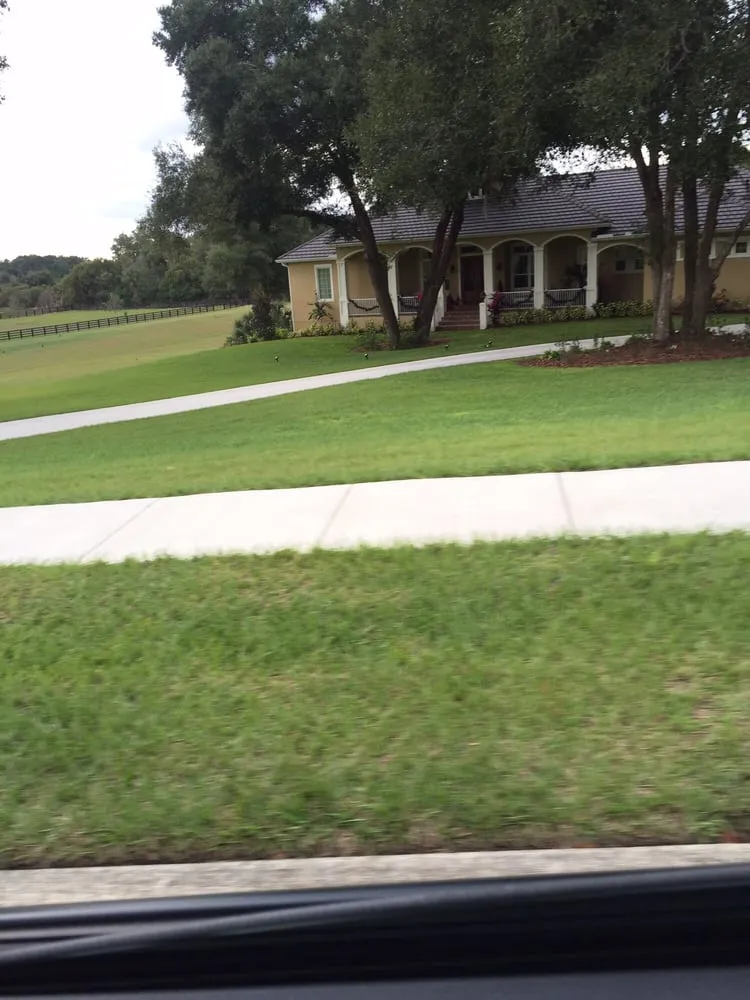 Local yard cleanup service in Apopka, FL - Millers Sod Sales