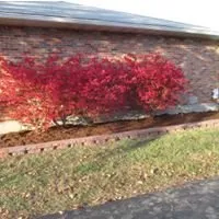 Local residential landscaping experts serving Columbia, MO - Millersburg Valley Landscaping