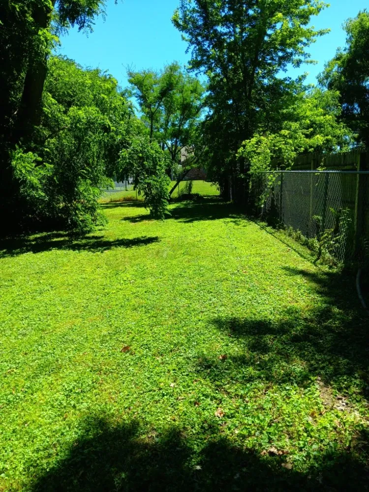 Top-rated residential landscaping experts serving Collinsville, IL - Milley's Lawn and Power Wash Services