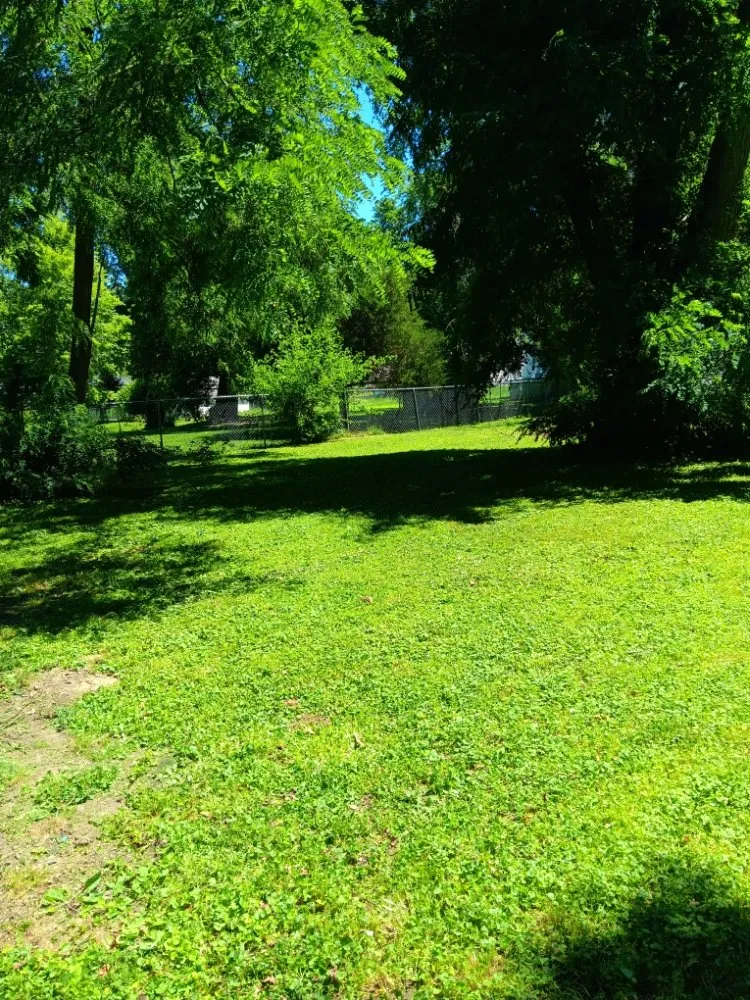 Local landscaping services experts serving Collinsville, IL - Milley's Lawn and Power Wash Services