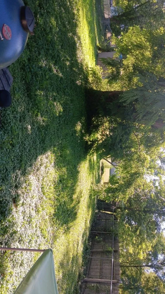 Top-rated residential landscaping experts serving Collinsville, IL - Milley's Lawn and Power Wash Services