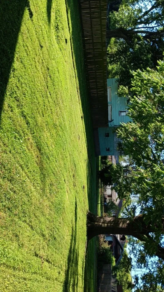 Expert lawn care service experts serving Collinsville, IL - Milley's Lawn and Power Wash Services